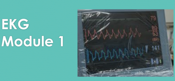 EKG Module One